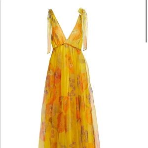 Staud Dandelion Chiffon Maxi Dress